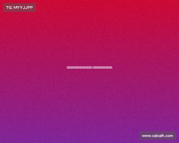 申京欧洲杯爆发背后:特训训练师助力 休赛期投射训练打造信心提升